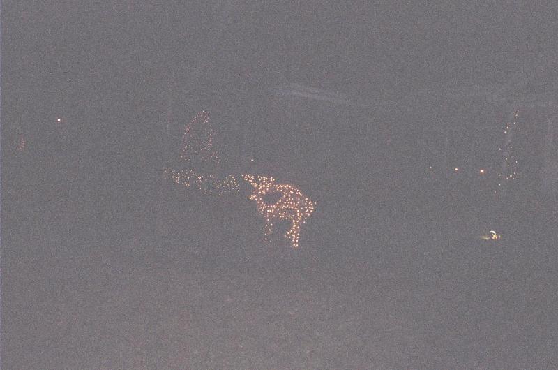 reindeer humping.jpg